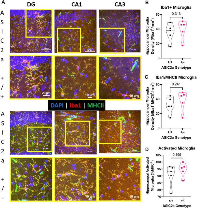 https://cdn.ncbi.nlm.nih.gov/pmc/blobs/2bef/9515891/5b9ed74667da/fphys-13-983506-g007.jpg