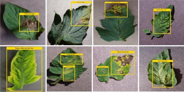 https://cdn.ncbi.nlm.nih.gov/pmc/blobs/2bf0/9633769/64a2feb5fae5/41598_2022_21498_Fig4_HTML.jpg