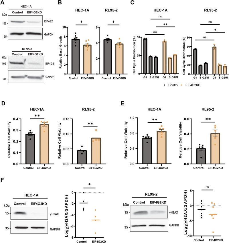 https://cdn.ncbi.nlm.nih.gov/pmc/blobs/2bf1/10997518/4ce79254a197/41388_2024_2981_Fig2_HTML.jpg