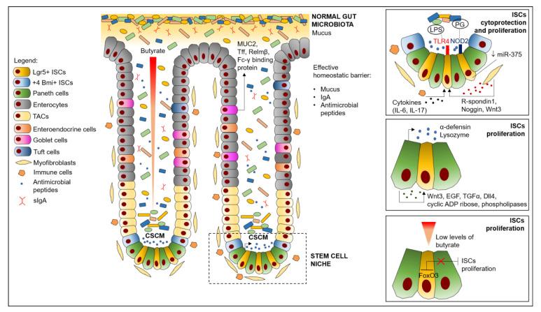 https://cdn.ncbi.nlm.nih.gov/pmc/blobs/2bf1/7957811/6abc0a8eb309/cancers-13-00996-g001.jpg