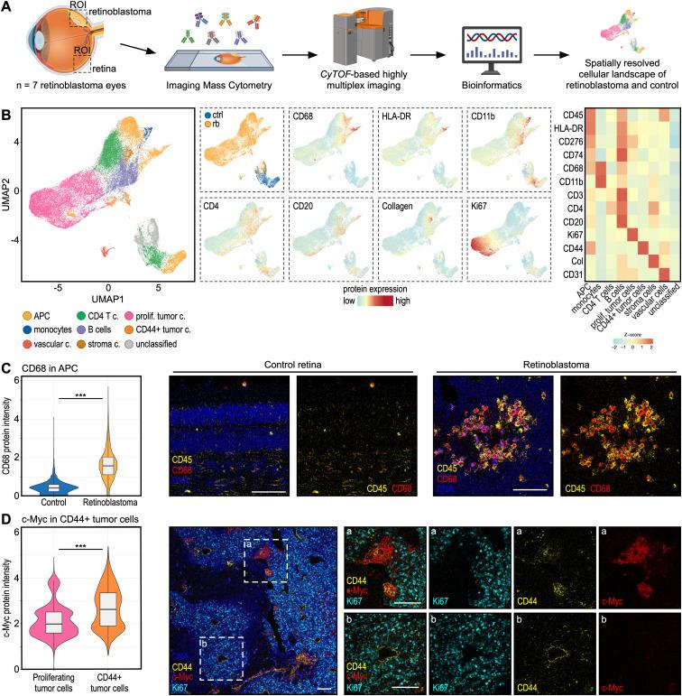 https://cdn.ncbi.nlm.nih.gov/pmc/blobs/2bf2/12088971/54b3cd1f81b3/fonc-15-1571702-g003.jpg