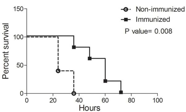 https://cdn.ncbi.nlm.nih.gov/pmc/blobs/2bf2/3417574/418a6ac0ad81/fcimb-02-00018-g0004.jpg