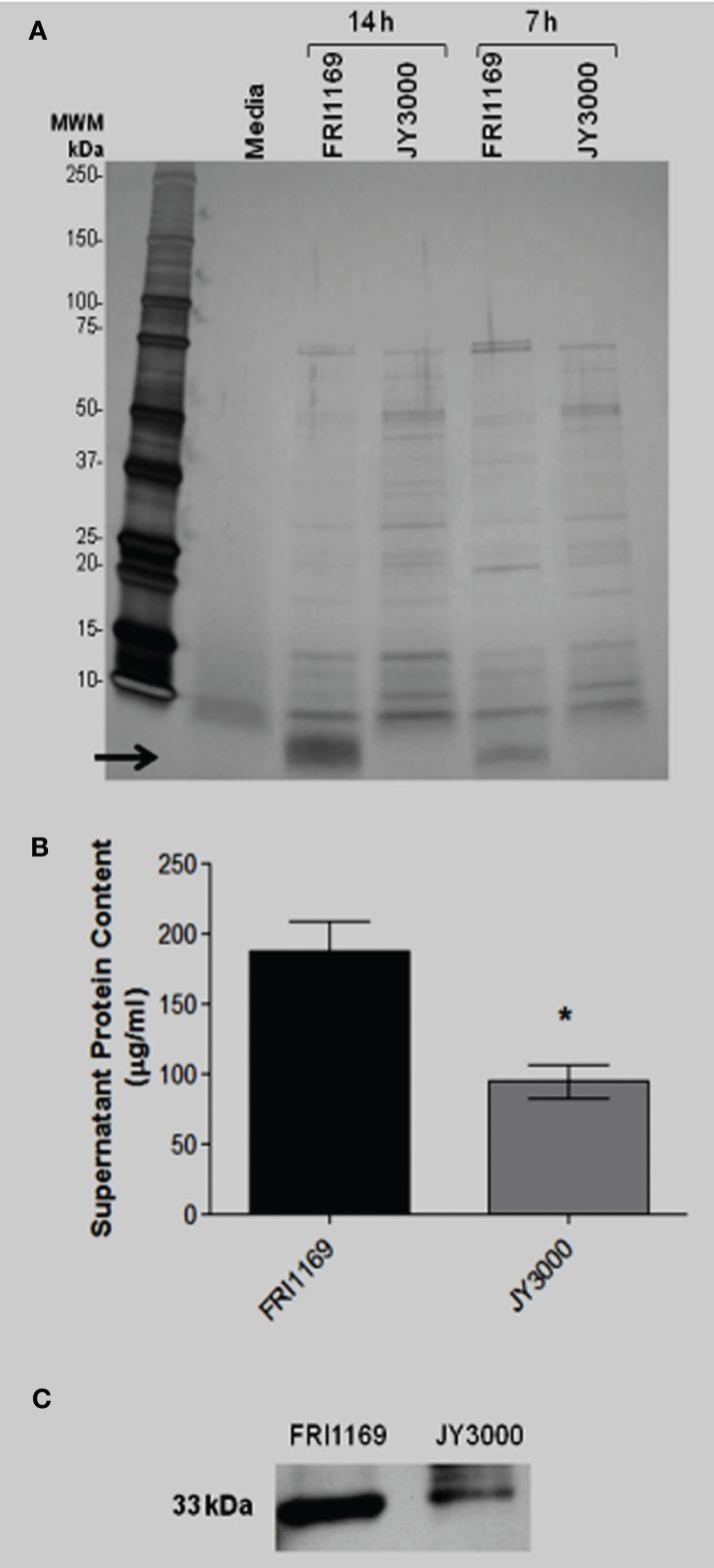 https://cdn.ncbi.nlm.nih.gov/pmc/blobs/2bf2/3417574/452bed4c0016/fcimb-02-00018-g0002.jpg