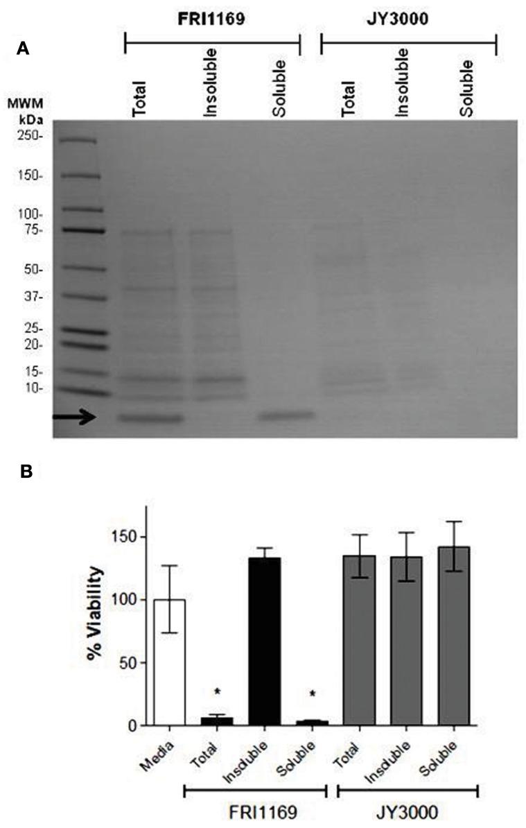 https://cdn.ncbi.nlm.nih.gov/pmc/blobs/2bf2/3417574/db62d3517bbe/fcimb-02-00018-g0003.jpg
