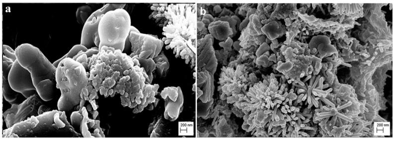 https://cdn.ncbi.nlm.nih.gov/pmc/blobs/2bf6/7075178/2bab61f91b0e/nanomaterials-10-00335-g007.jpg