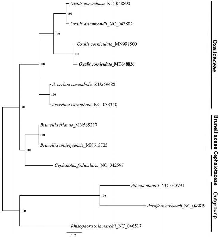 https://cdn.ncbi.nlm.nih.gov/pmc/blobs/2bf6/8043542/5843b1295b1d/TMDN_A_1878950_F0001_B.jpg