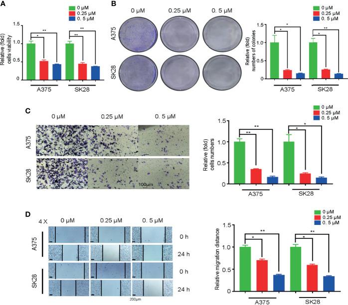 https://cdn.ncbi.nlm.nih.gov/pmc/blobs/2bf7/8927676/e38a164b0032/fonc-12-802807-g007.jpg