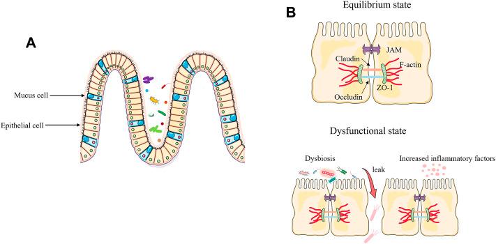 https://cdn.ncbi.nlm.nih.gov/pmc/blobs/2bf8/9523403/55e4180661f1/fphar-13-952938-g001.jpg