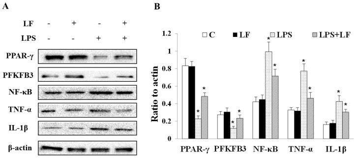 https://cdn.ncbi.nlm.nih.gov/pmc/blobs/2bf8/9658706/48f5c4bceae2/foods-11-03378-g005.jpg