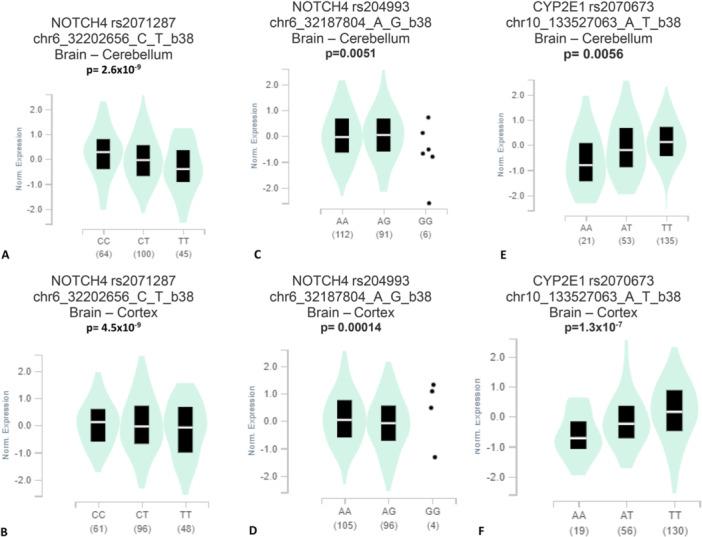 https://cdn.ncbi.nlm.nih.gov/pmc/blobs/2bfa/11652386/6f387644d3bc/HSR2-7-e70262-g001.jpg