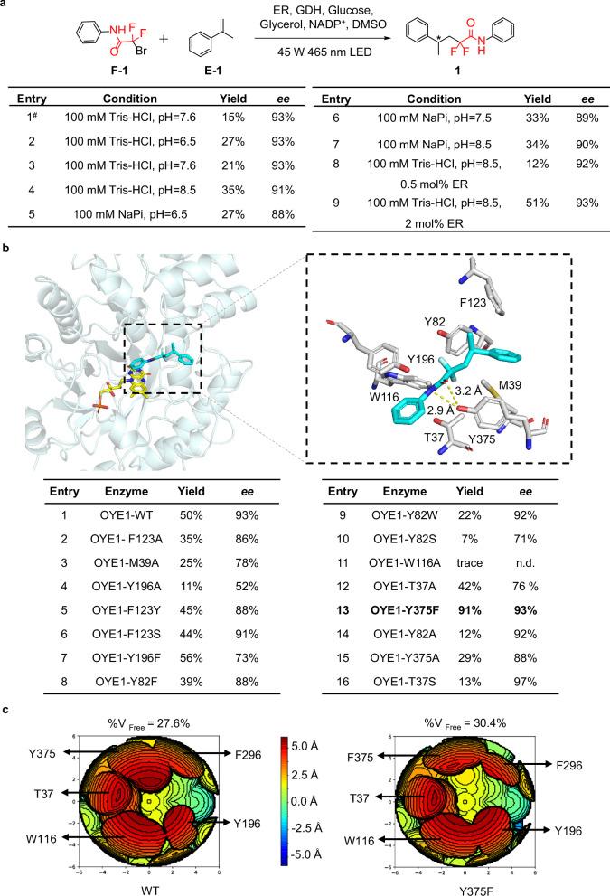 https://cdn.ncbi.nlm.nih.gov/pmc/blobs/2bfe/12214493/7beabc91aff2/41467_2025_60807_Fig2_HTML.jpg