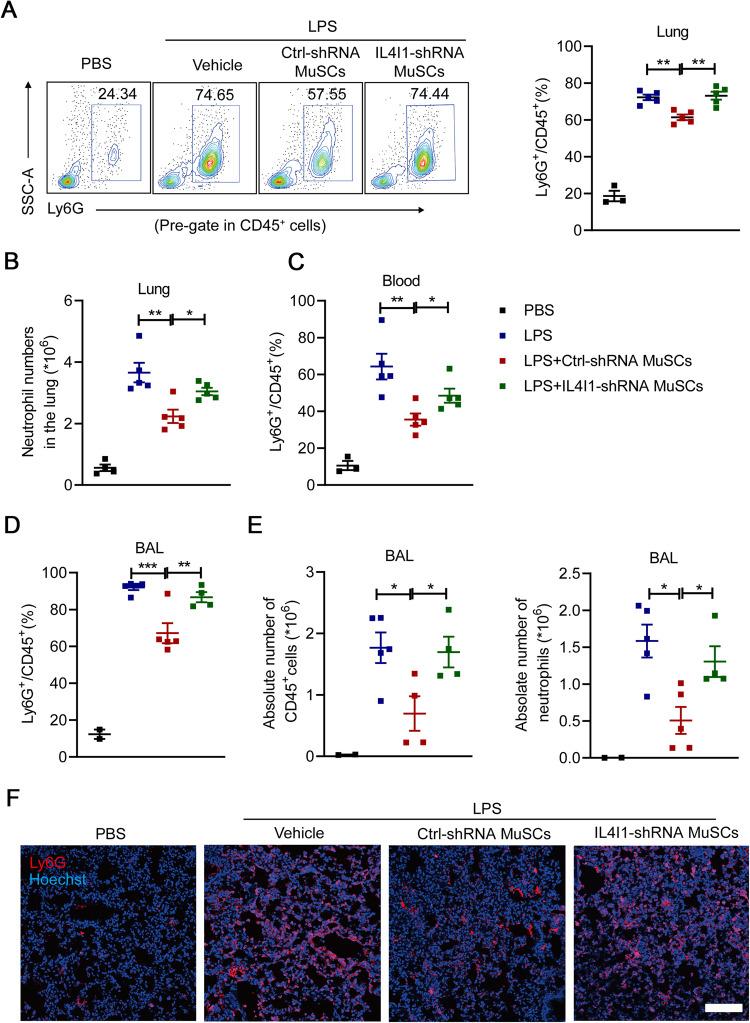 https://cdn.ncbi.nlm.nih.gov/pmc/blobs/2bff/10382538/156d4217a567/41420_2023_1568_Fig3_HTML.jpg