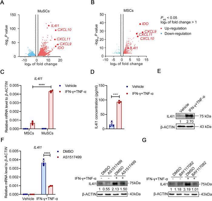 https://cdn.ncbi.nlm.nih.gov/pmc/blobs/2bff/10382538/6d37ae56d424/41420_2023_1568_Fig1_HTML.jpg