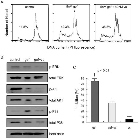 https://cdn.ncbi.nlm.nih.gov/pmc/blobs/2c00/3237568/18d3d0807537/pone.0028930.g009.jpg