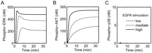 https://cdn.ncbi.nlm.nih.gov/pmc/blobs/2c00/3237568/36bb503efbbd/pone.0028930.g003.jpg