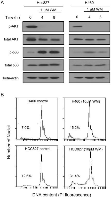 https://cdn.ncbi.nlm.nih.gov/pmc/blobs/2c00/3237568/dfaaf35df004/pone.0028930.g008.jpg