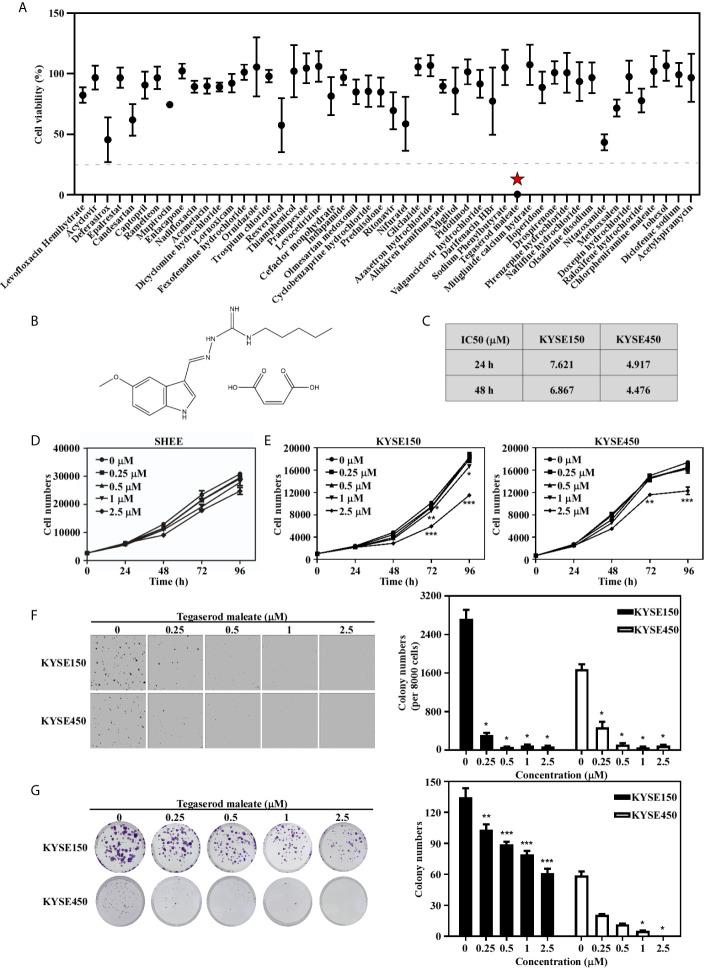 https://cdn.ncbi.nlm.nih.gov/pmc/blobs/2c03/8372369/027c05b7d568/fonc-11-683241-g001.jpg