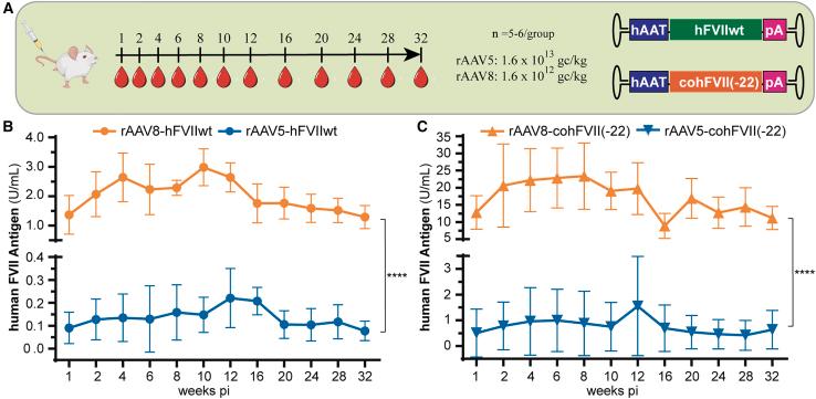 https://cdn.ncbi.nlm.nih.gov/pmc/blobs/2c04/12282199/0c26961c4038/gr2.jpg