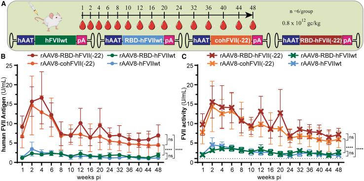 https://cdn.ncbi.nlm.nih.gov/pmc/blobs/2c04/12282199/a9a3540b29c2/gr4.jpg