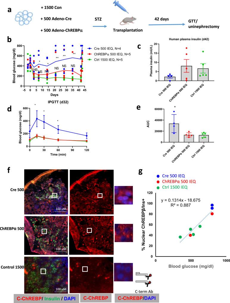 https://cdn.ncbi.nlm.nih.gov/pmc/blobs/2c04/9339008/3aad7670474d/41467_2022_32162_Fig4_HTML.jpg