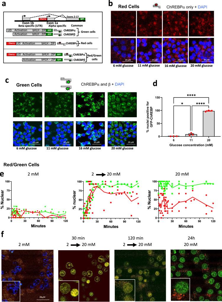 https://cdn.ncbi.nlm.nih.gov/pmc/blobs/2c04/9339008/99450f909ec5/41467_2022_32162_Fig2_HTML.jpg