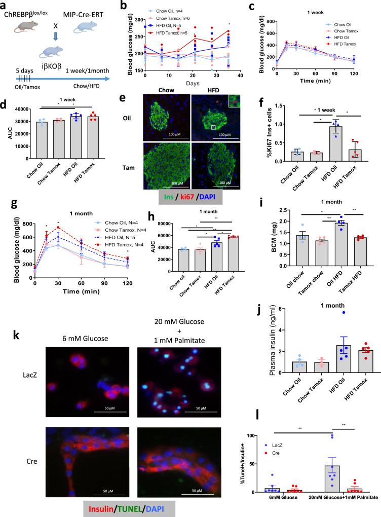 https://cdn.ncbi.nlm.nih.gov/pmc/blobs/2c04/9339008/a96d346f0be4/41467_2022_32162_Fig5_HTML.jpg
