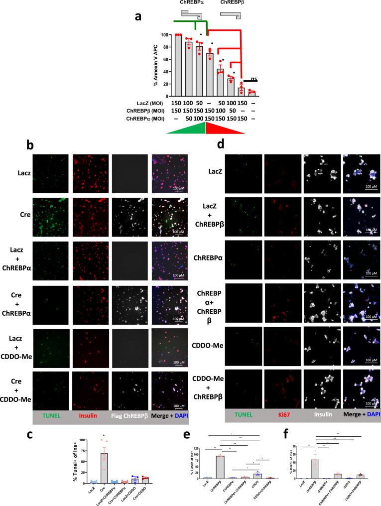 https://cdn.ncbi.nlm.nih.gov/pmc/blobs/2c04/9339008/e6744896f124/41467_2022_32162_Fig8_HTML.jpg