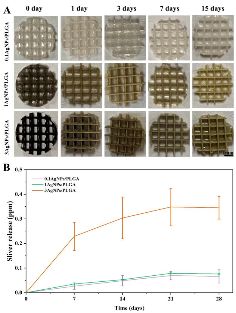 https://cdn.ncbi.nlm.nih.gov/pmc/blobs/2c06/10253518/5e4b788abea6/materials-16-03895-g003.jpg
