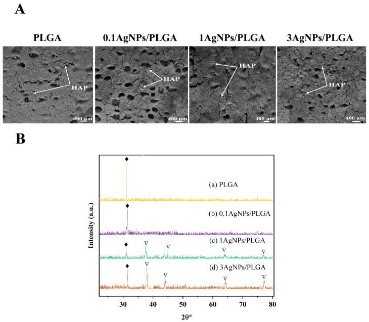 https://cdn.ncbi.nlm.nih.gov/pmc/blobs/2c06/10253518/a85762b198d1/materials-16-03895-g004.jpg