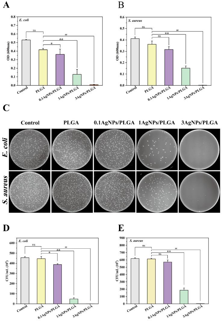 https://cdn.ncbi.nlm.nih.gov/pmc/blobs/2c06/10253518/f8843f771872/materials-16-03895-g006.jpg