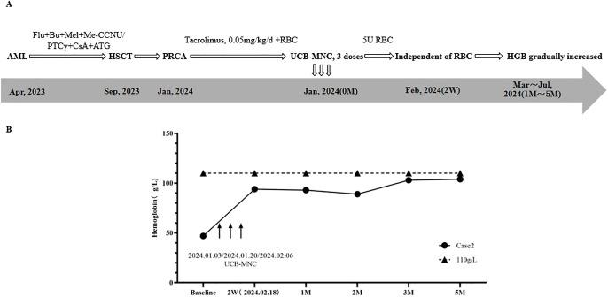 https://cdn.ncbi.nlm.nih.gov/pmc/blobs/2c06/12171867/3fea71f0d082/fonc-15-1585088-g002.jpg