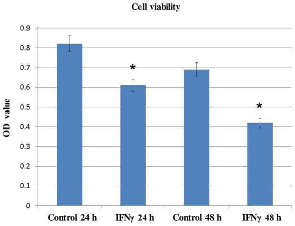 https://cdn.ncbi.nlm.nih.gov/pmc/blobs/2c07/6203152/1a9999b357aa/IJO-53-06-2423-g03.jpg