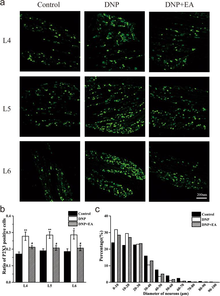 https://cdn.ncbi.nlm.nih.gov/pmc/blobs/2c07/7855163/40091145b25d/11302_2020_9728_Fig6_HTML.jpg