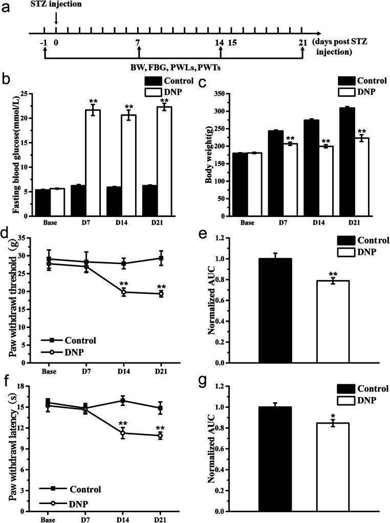 https://cdn.ncbi.nlm.nih.gov/pmc/blobs/2c07/7855163/9deda17895e4/11302_2020_9728_Fig1_HTML.jpg