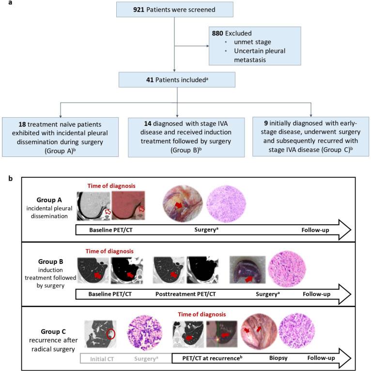 https://cdn.ncbi.nlm.nih.gov/pmc/blobs/2c08/12346199/c6152e07e836/cancers-17-02525-g001.jpg