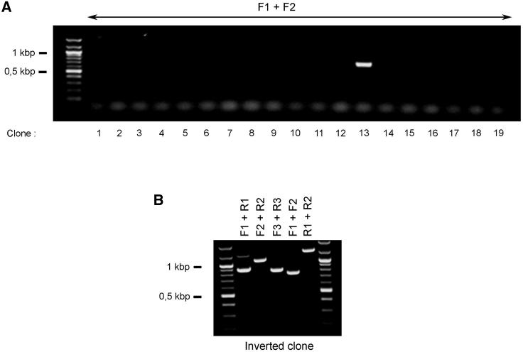 https://cdn.ncbi.nlm.nih.gov/pmc/blobs/2c09/8938320/2b4b7036c80f/gr5.jpg