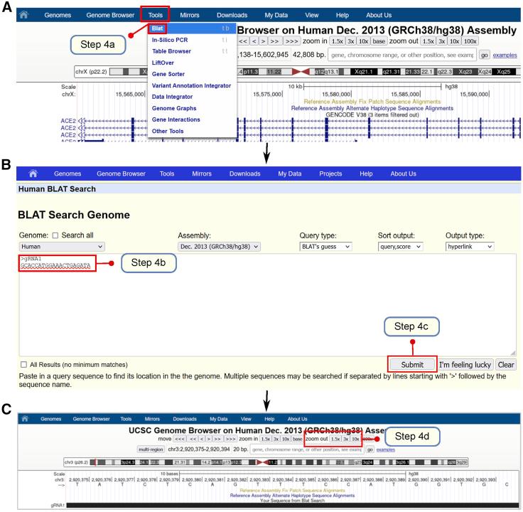 https://cdn.ncbi.nlm.nih.gov/pmc/blobs/2c09/8938320/c7443656325b/gr3.jpg