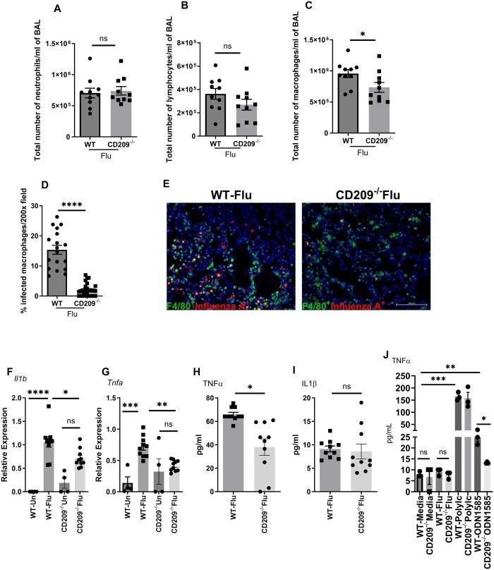 https://cdn.ncbi.nlm.nih.gov/pmc/blobs/2c0a/11841971/7ab463c74da3/vlae001f4.jpg