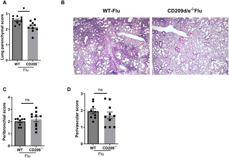 https://cdn.ncbi.nlm.nih.gov/pmc/blobs/2c0a/11841971/cd399799c80b/vlae001f5.jpg