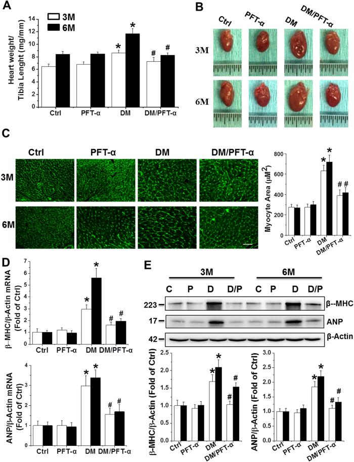 https://cdn.ncbi.nlm.nih.gov/pmc/blobs/2c0b/5833384/94c250996515/41419_2017_93_Fig1_HTML.jpg