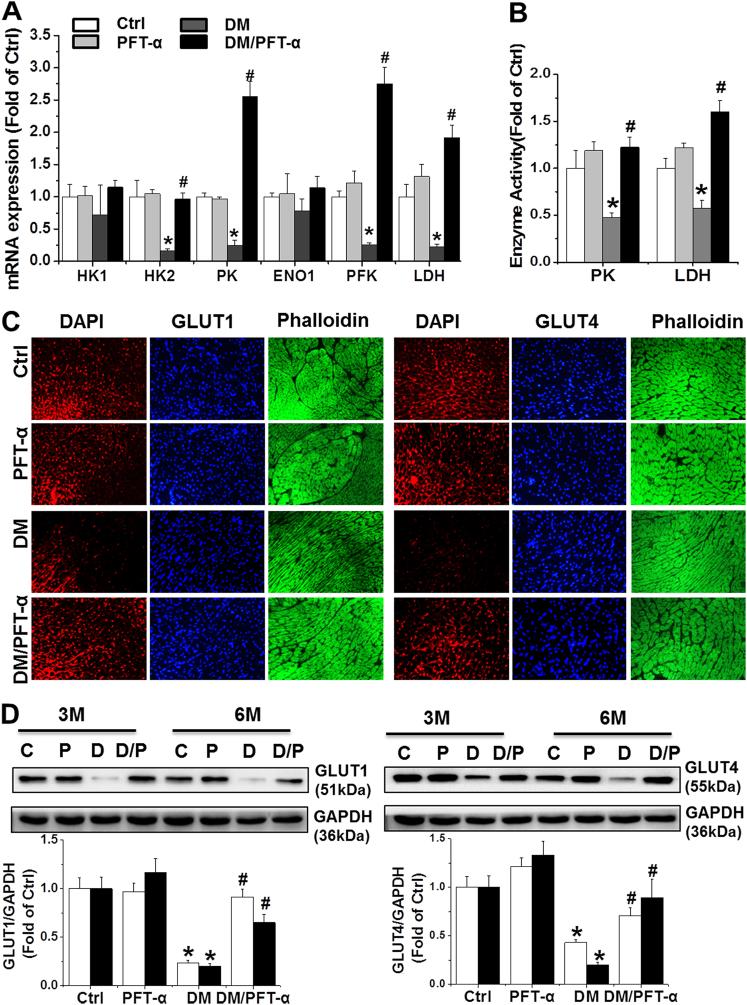 https://cdn.ncbi.nlm.nih.gov/pmc/blobs/2c0b/5833384/cb93d0d8da9f/41419_2017_93_Fig5a_HTML.jpg