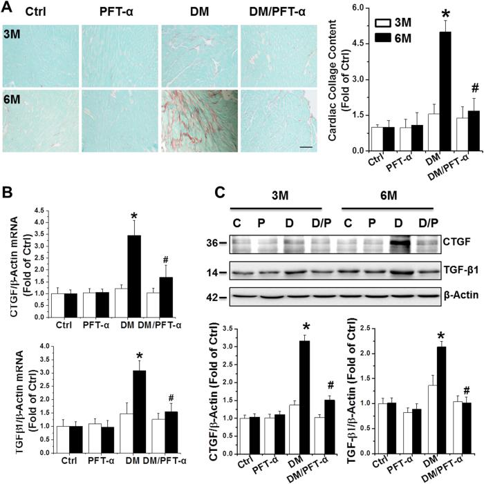 https://cdn.ncbi.nlm.nih.gov/pmc/blobs/2c0b/5833384/e6fd9d12ab83/41419_2017_93_Fig2_HTML.jpg