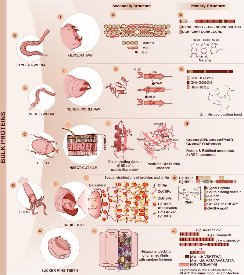 https://cdn.ncbi.nlm.nih.gov/pmc/blobs/2c0e/9999432/02c4956d5165/cr2c00621_0010.jpg
