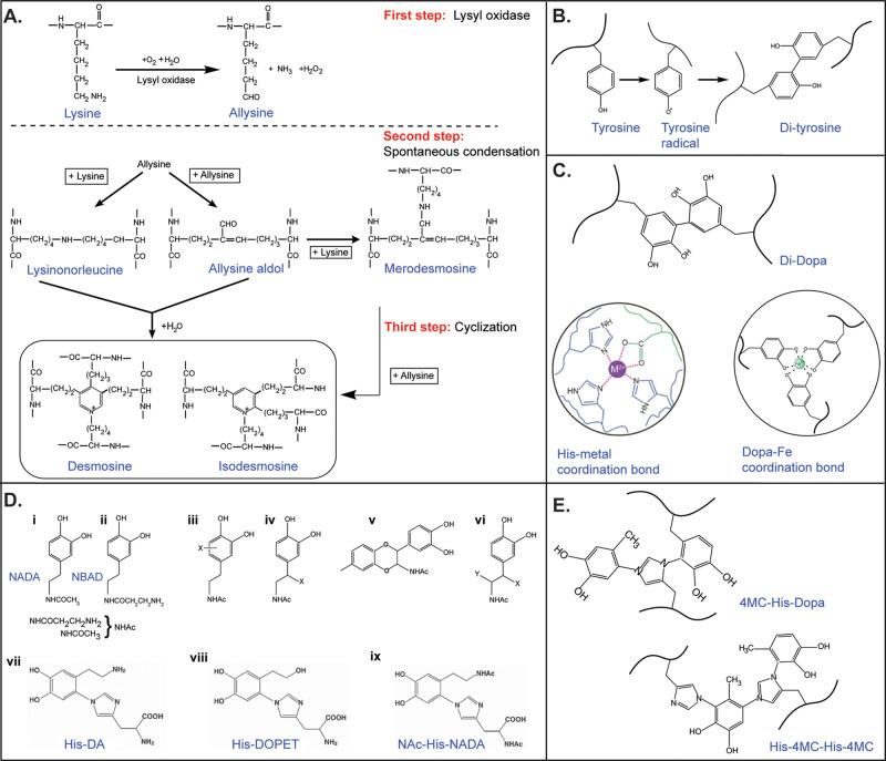 https://cdn.ncbi.nlm.nih.gov/pmc/blobs/2c0e/9999432/1ca07fd68d66/cr2c00621_0005.jpg