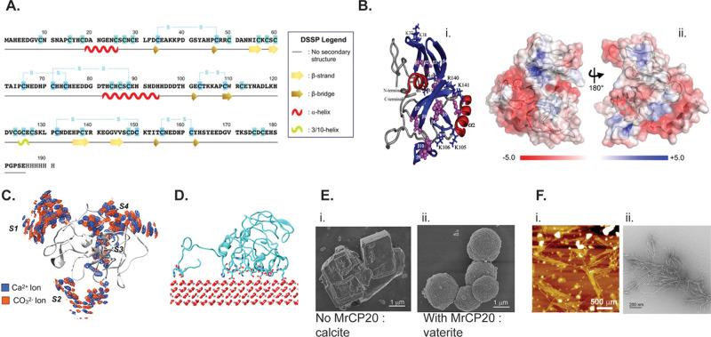 https://cdn.ncbi.nlm.nih.gov/pmc/blobs/2c0e/9999432/40ff7c1a0230/cr2c00621_0009.jpg