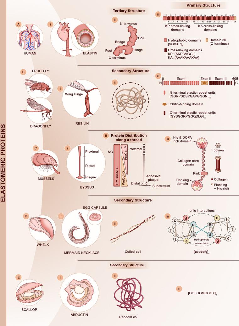 https://cdn.ncbi.nlm.nih.gov/pmc/blobs/2c0e/9999432/716e8efbb3b5/cr2c00621_0004.jpg