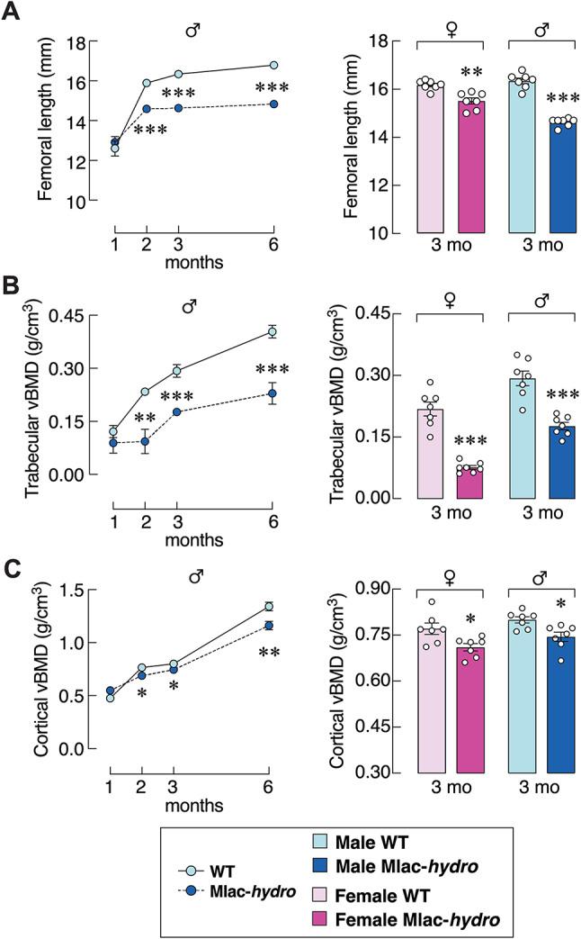 https://cdn.ncbi.nlm.nih.gov/pmc/blobs/2c0f/12216024/0a0e15cbeca3/41598_2025_6485_Fig5_HTML.jpg