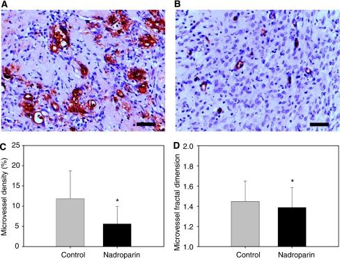 https://cdn.ncbi.nlm.nih.gov/pmc/blobs/2c10/2833243/b8d25ff365f2/6605535f4.jpg