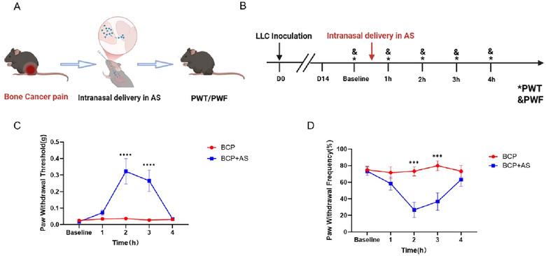 https://cdn.ncbi.nlm.nih.gov/pmc/blobs/2c12/12086296/2be9e508f29a/BRB3-15-e70555-g001.jpg