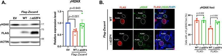 https://cdn.ncbi.nlm.nih.gov/pmc/blobs/2c15/10594928/31cdb9bbc7d9/13578_2023_1140_Fig6_HTML.jpg